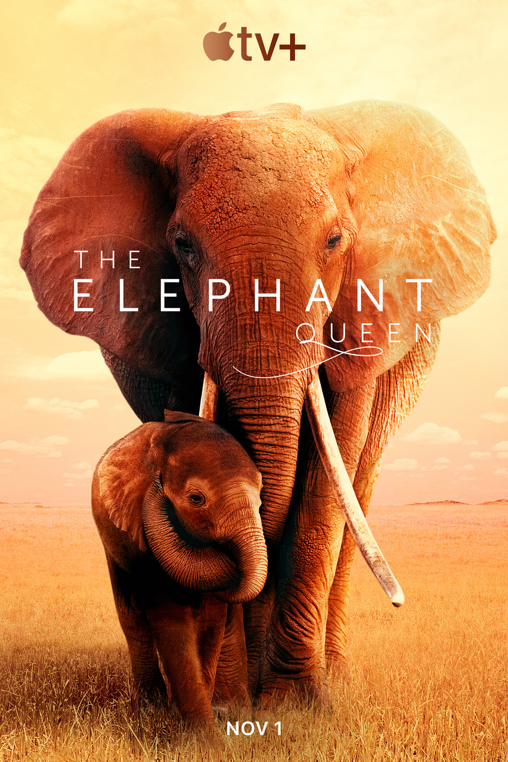 ดูหนังออนไลน์ฟรี The Elephant Queen (2019) อัศจรรย์ราชินีแห่งช้าง