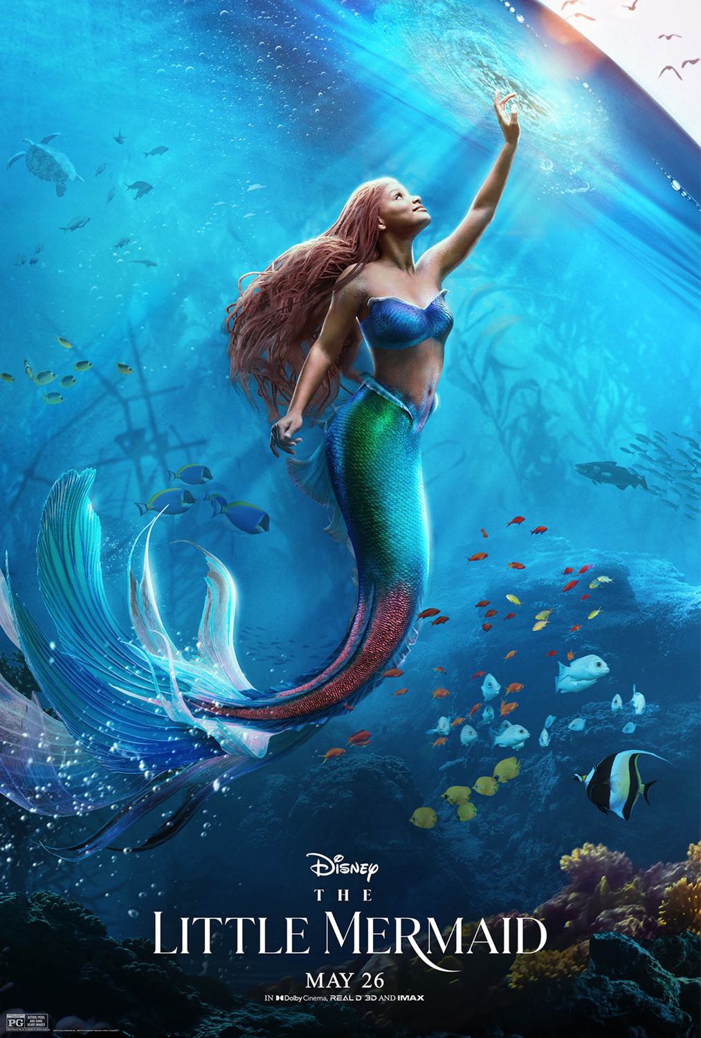 ดูหนังออนไลน์ฟรี The Little Mermaid เงือกน้อยผจญภัย (2023)